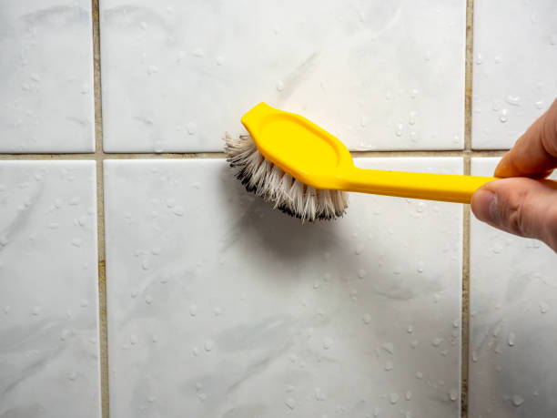 Best Water Damage Restoration  in Wyong, MI